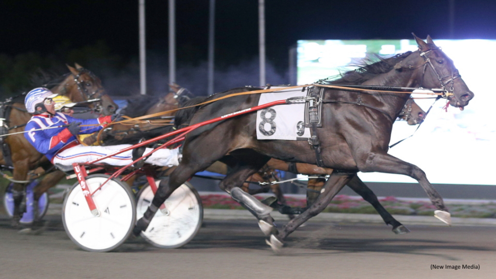 HP Mama B Sweeps To Preferred Score | Standardbred Canada